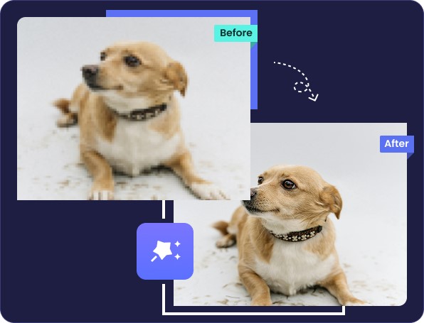 animal photo sharpen