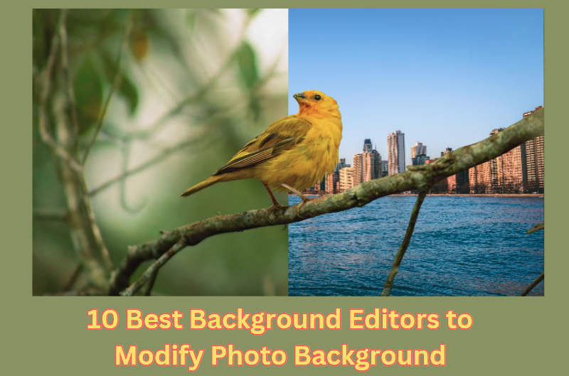 modify photo background