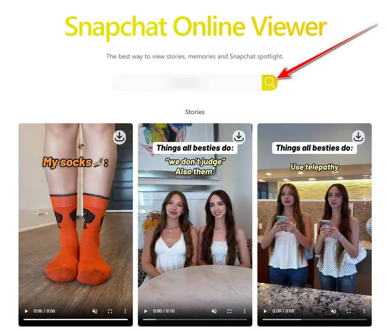Snapchat Story Viewer megastory.org