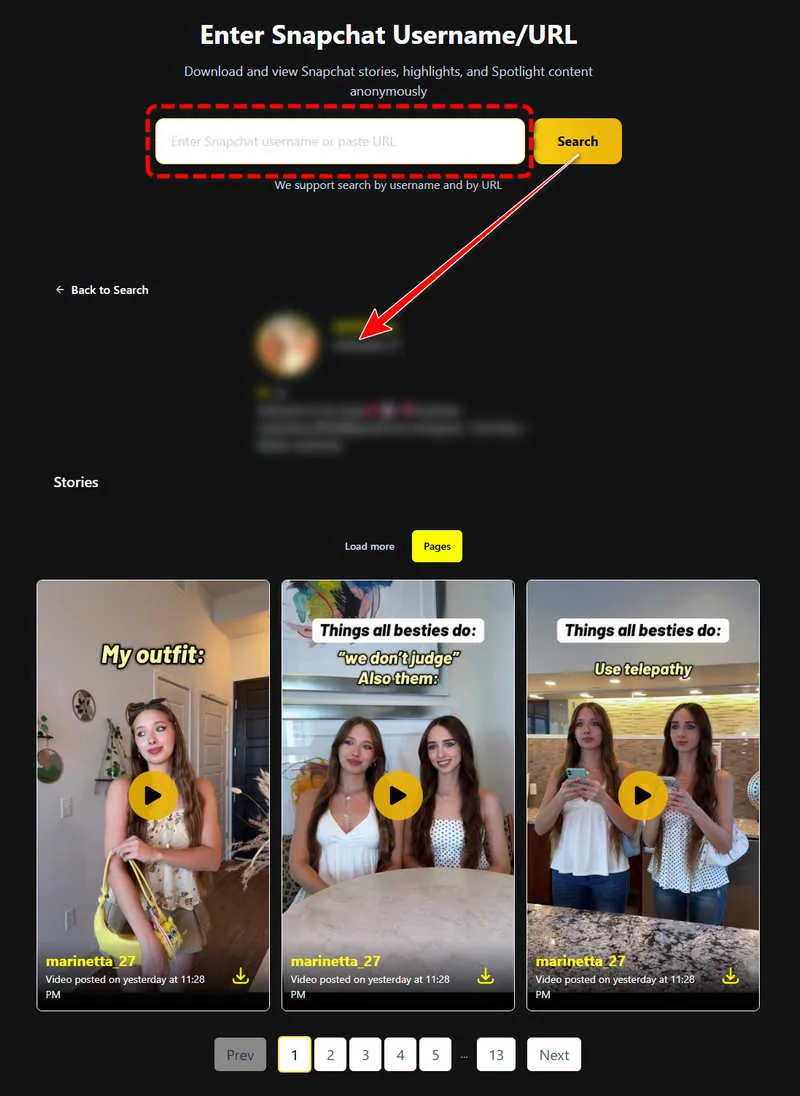 Snapchat Story Viewer storyclone