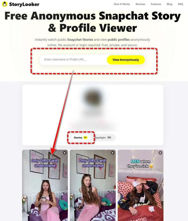 Snapchat Story Viewer storylooker