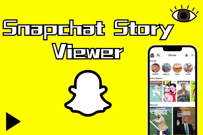 Snapchat Story Viewers