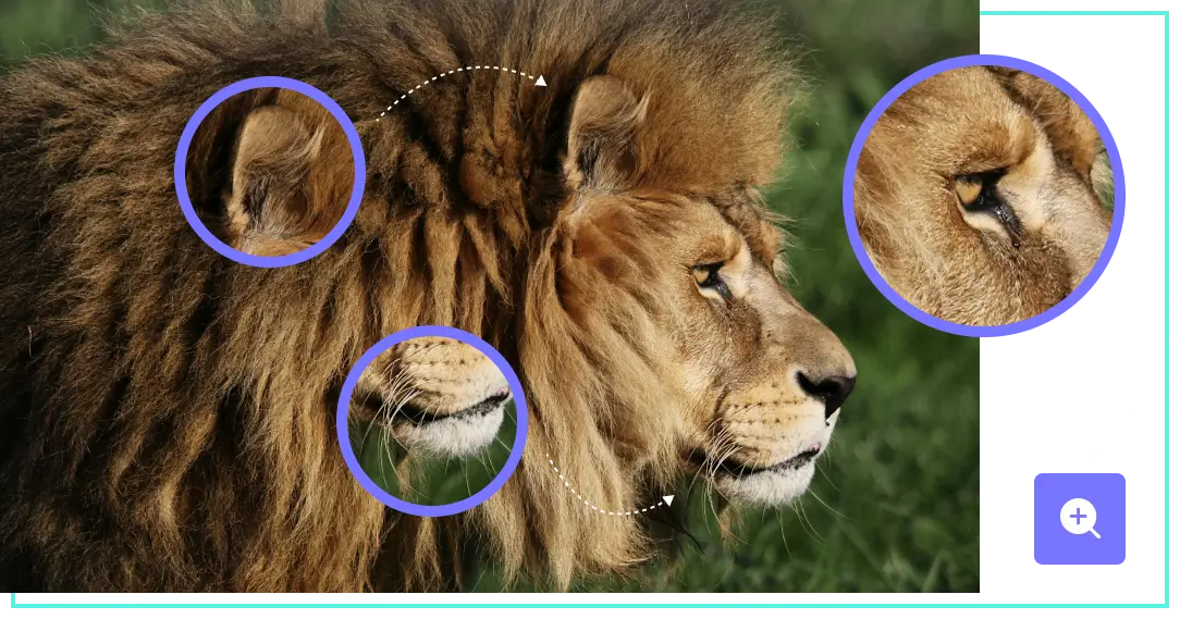 image upscaler