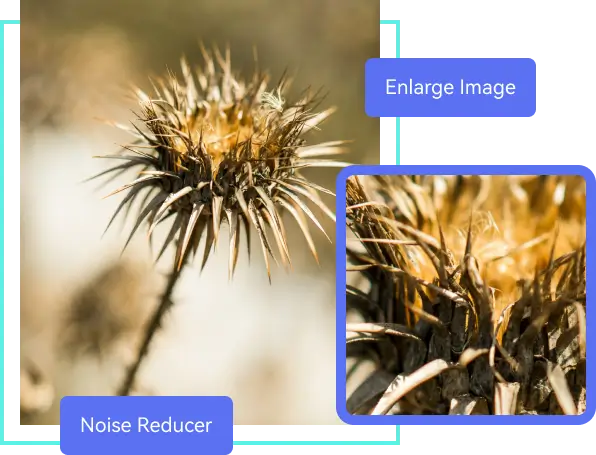 reduce noise