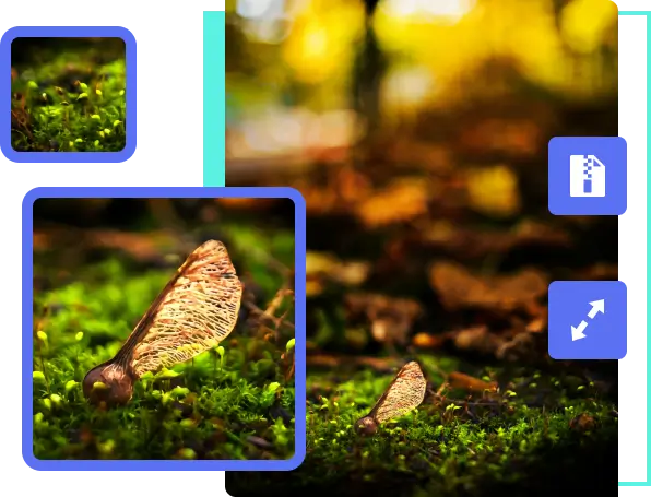 repair compressed photo